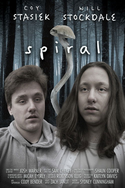 Spiral Poster