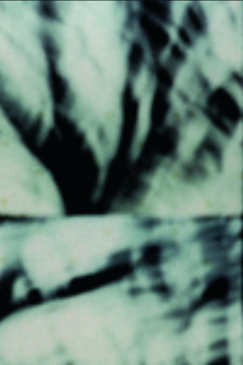 Étude pour arbre seul Poster