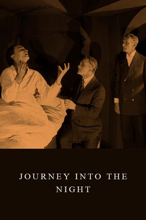 Journey into the Night Poster