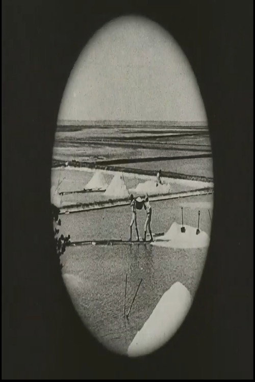 Voyage au Brésil Poster