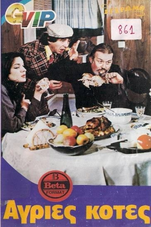 Wild Chickens Poster