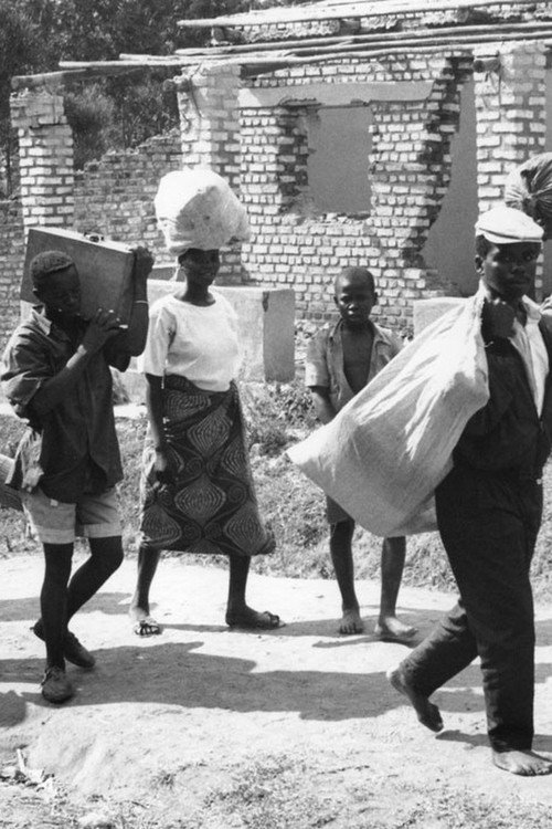Sitting on a Volcano Poster