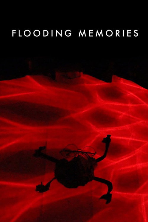 Flooding Memories Poster