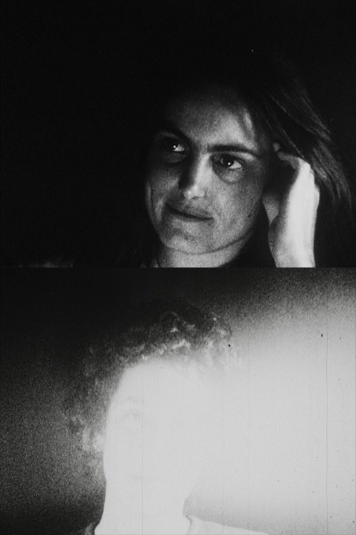 A Field Guide to Western Birds Poster