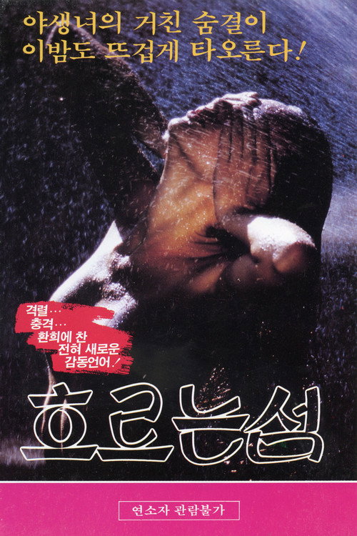 흐르는 섬 Poster