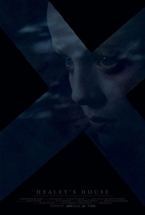 Healey's House Poster