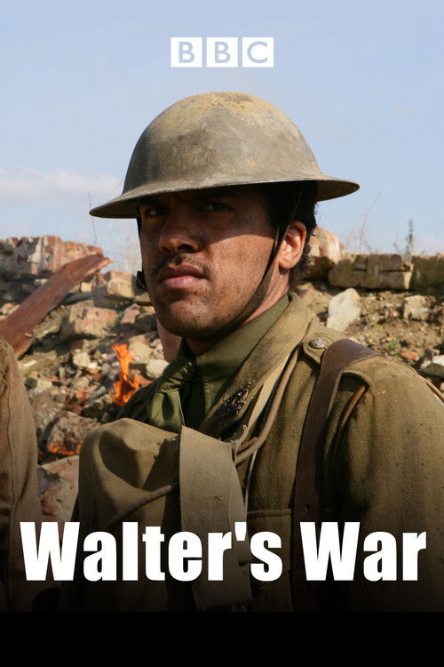 Walter's War Poster