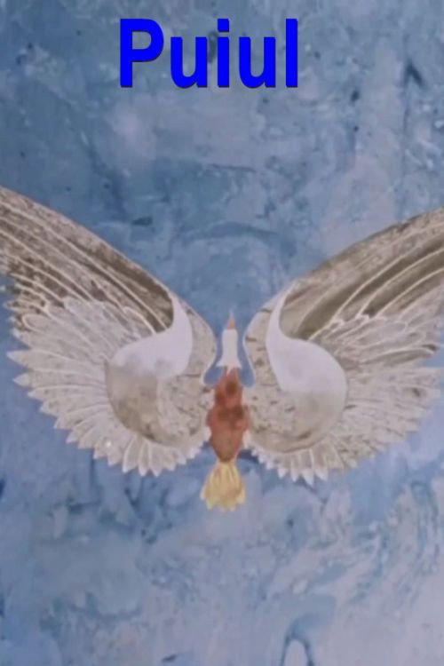 Puiul Poster