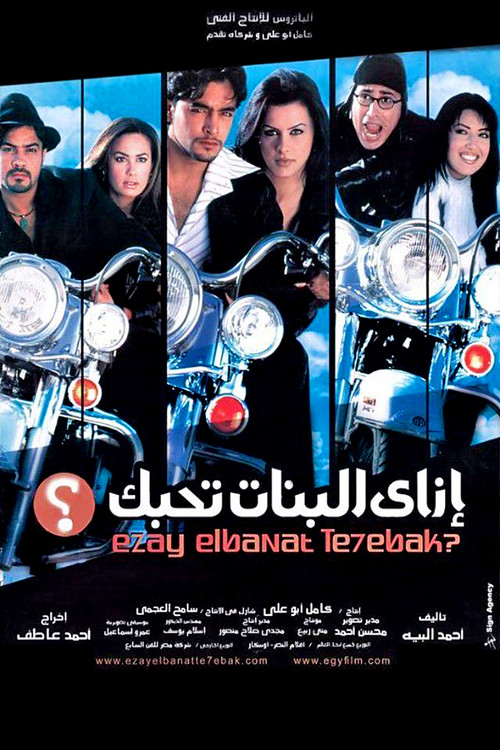 How to Get Girls to Fall for You Poster