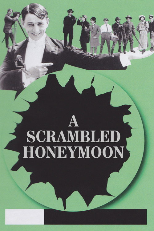 A Scrambled Honeymoon Poster