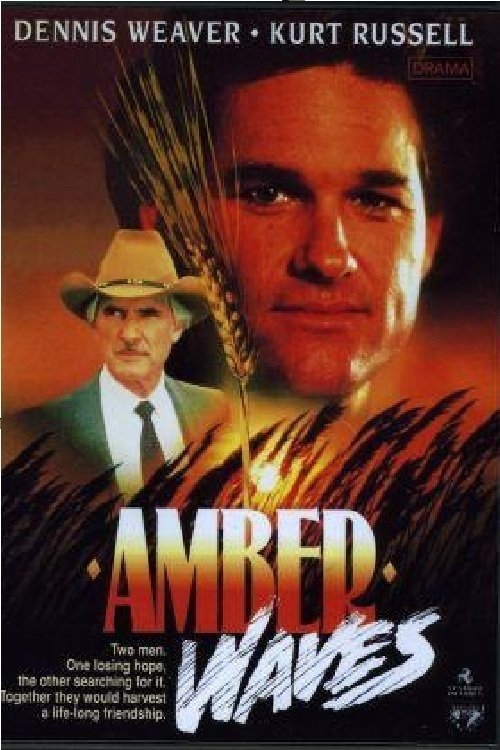 Amber Waves Poster