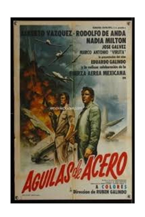 Aguilas de acero Poster
