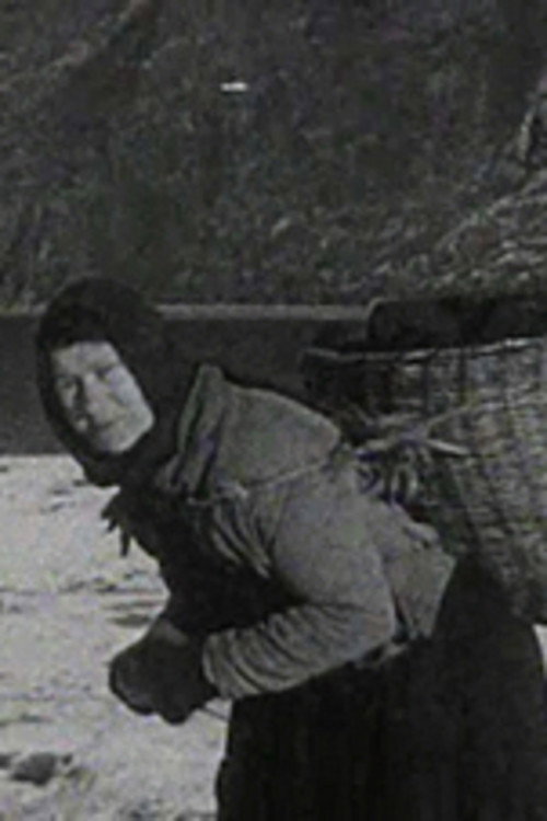 A Crofter's Life in the Shetlands Poster