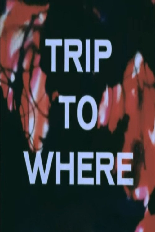 LSD: Trip to Where? Poster