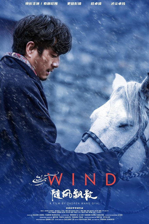 Wind Poster