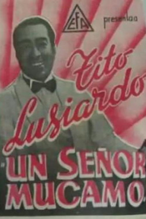 Un señor mucamo Poster