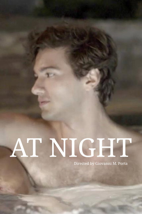 At Night Poster