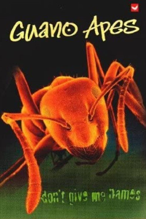 Guano Apes - Don't Give Me Names Poster