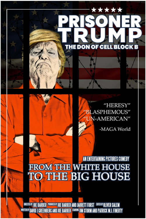 Prisoner Trump: The Don of Cell Block B Poster