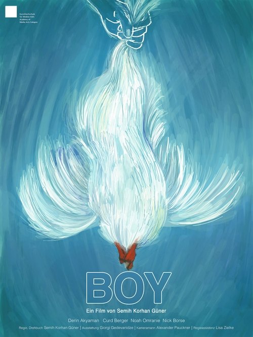 Boy Poster