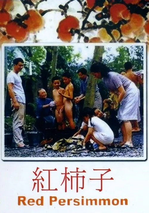 Red Persimmon Poster