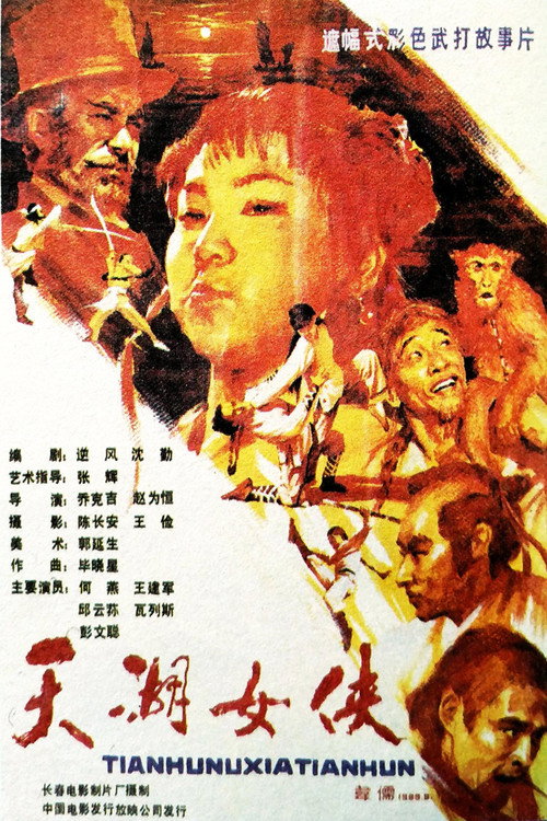天湖女侠 Poster