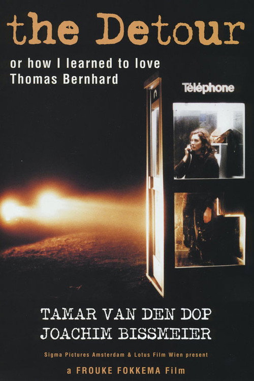 the Detour Poster
