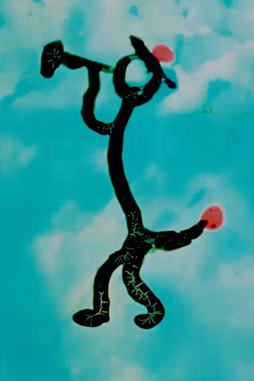 Surprise Boogie Poster