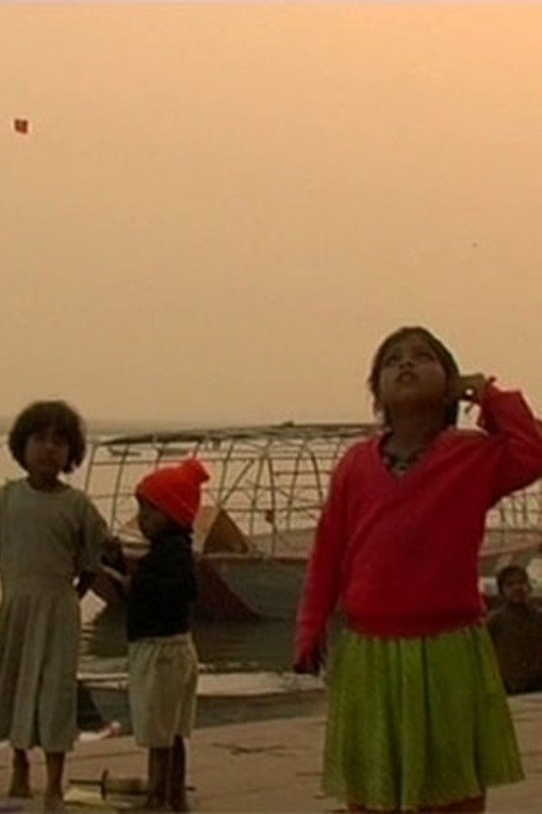 Heart of a Tiger Poster