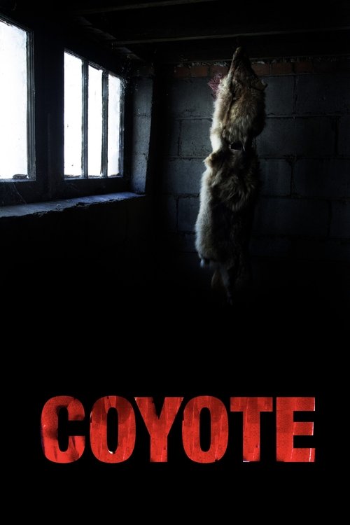 Coyote Poster