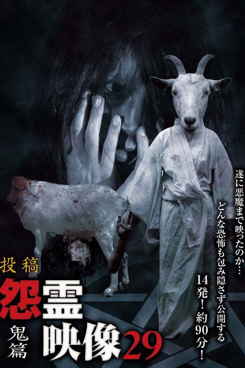 Posted Grudge Spirit Footage Vol.29: Demon Edition Poster