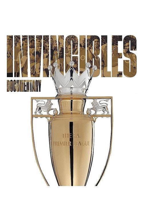Arsenal Invincibles Poster
