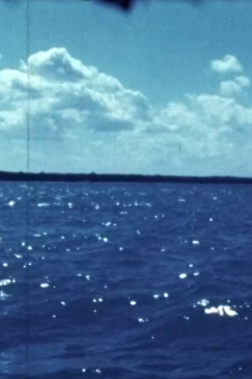 Woman Water Huron Goodbye Poster