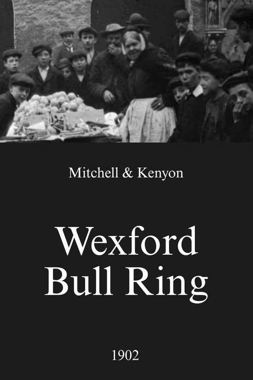 Wexford Bull Ring Poster