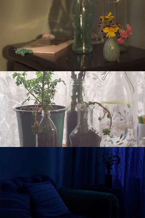 The Sleeping Beauty Poster