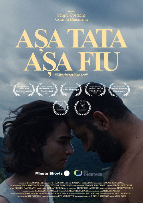Asa tata așa fiu Poster