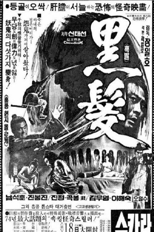 The Black Hair Poster