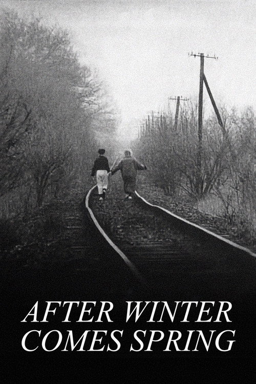 After Winter Comes Spring Poster