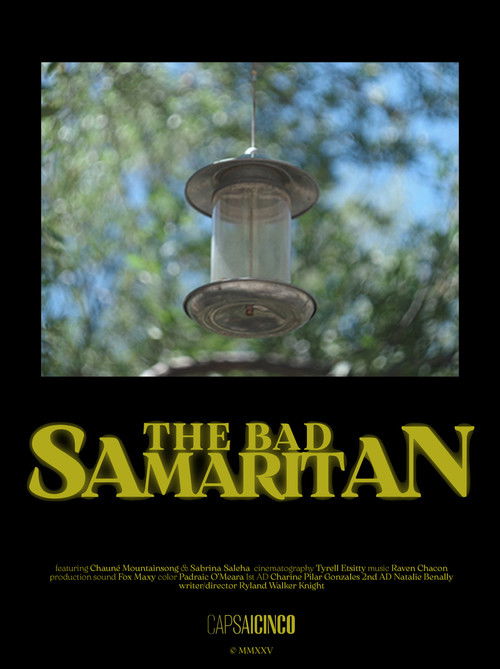 The Bad Samaritan Poster