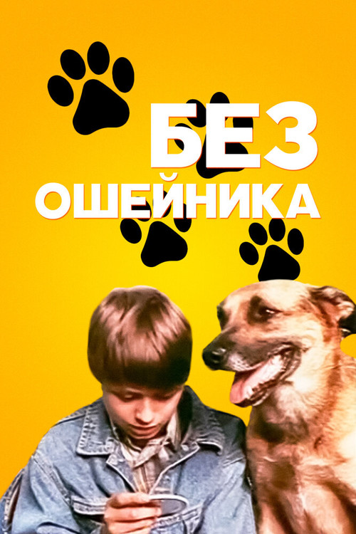 Without a Collar Poster