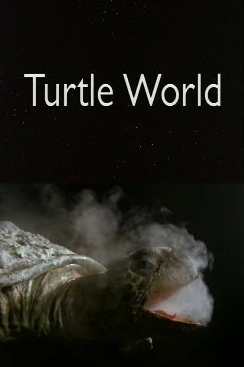 Turtle World Poster
