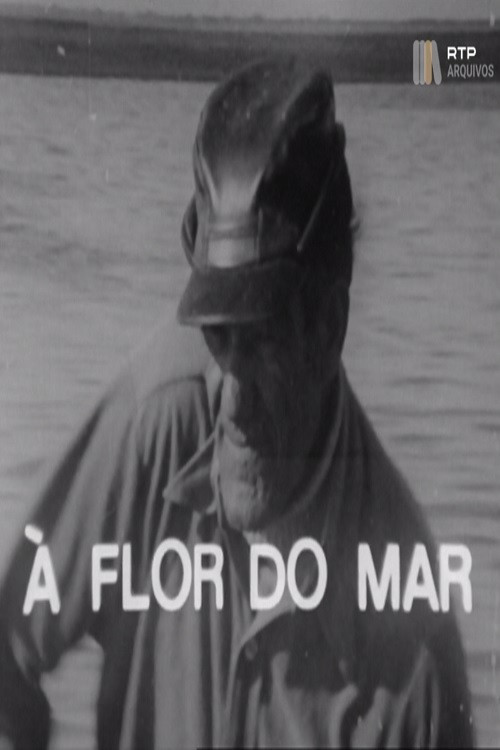 À Flor do Mar Poster