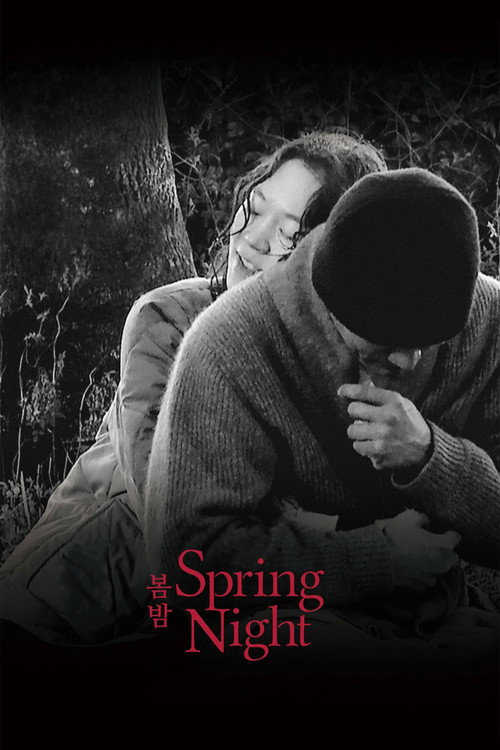 Spring Night Poster