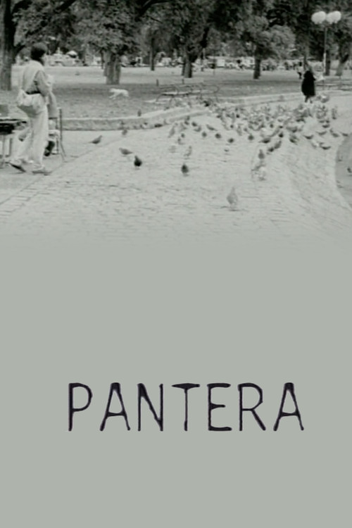 Pantera Poster