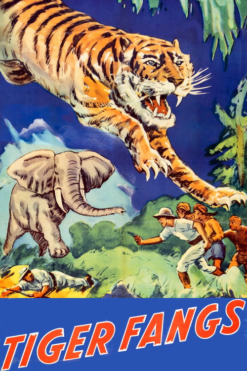 Tiger Fangs Poster