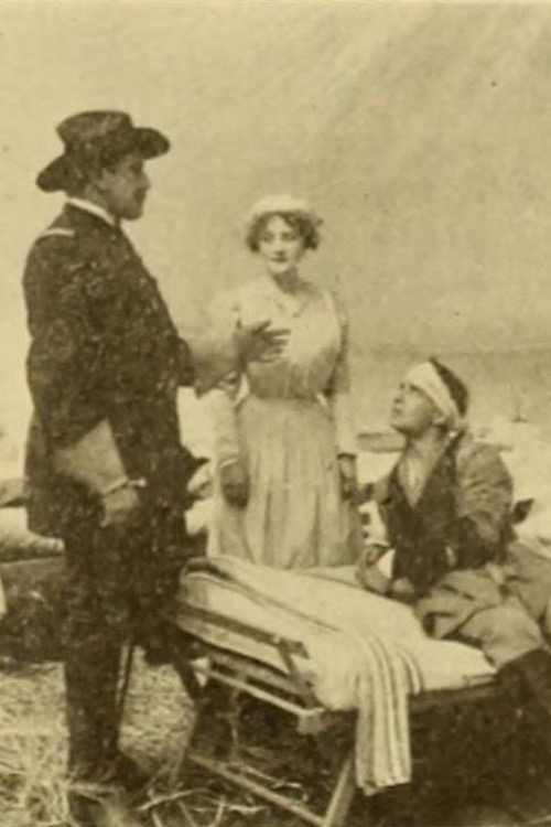 A Dixie Mother Poster