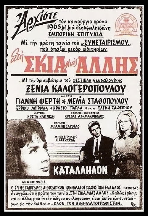 In the shadow of the other woman Poster