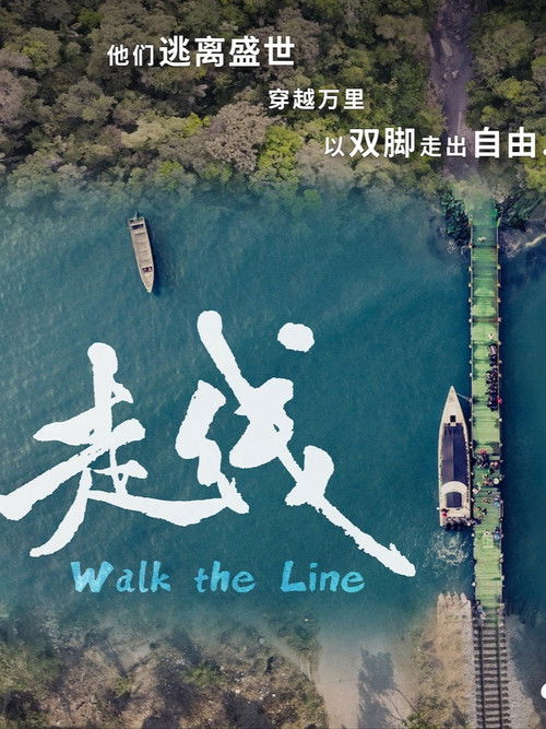 Walk the Line Poster