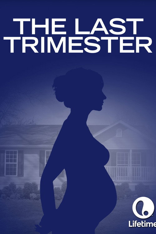 The Last Trimester Poster