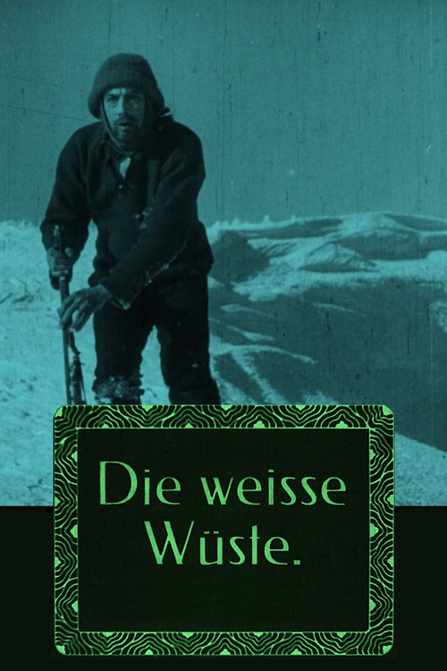 The White Desert Poster